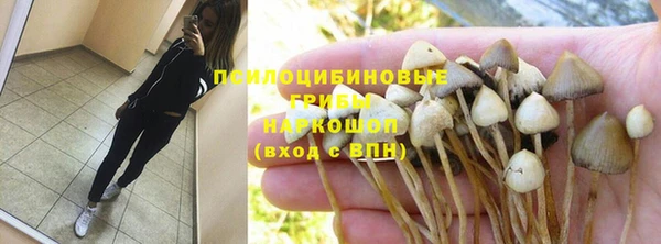 гашик Надым