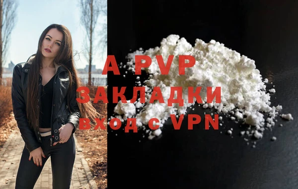 гашик Надым