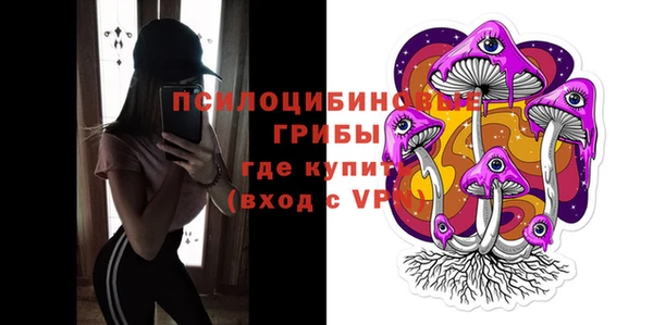 индика Бородино