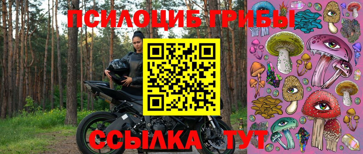 как найти закладки  Псилоцибиновые грибы MAGIC MUSHROOMS  Вход с VPN  Саратов 